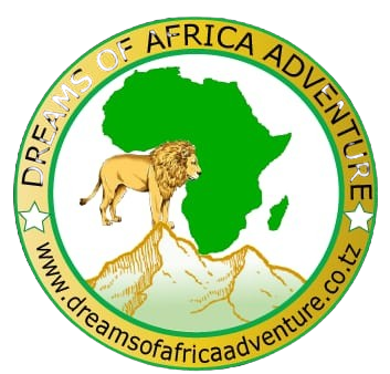 Dreams of Africa Adventures