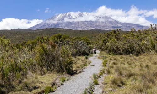 A picturesque trail leads to a snowy mountain peak under a clear blue sky.