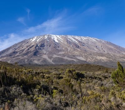 A breathtaking landscape of Mount Kilimanjaro with clear skies, showcasing the snowy peak and lush greenery.