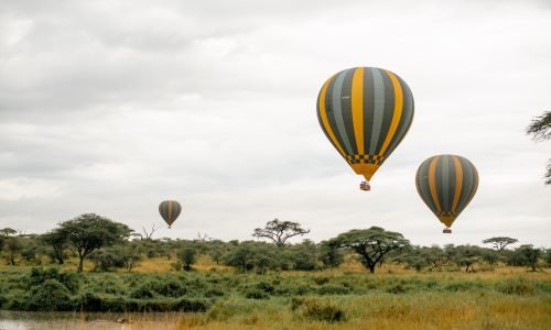 Captivating hot air balloon ride over the serene African savanna under a cloudy sky.