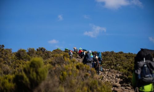 Group of hikers climbing a scenic mountain trail under a clear blue sky.
